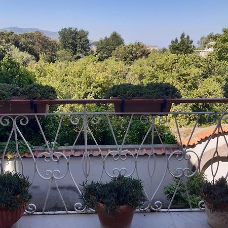 La Casa Di Rosa - Casa Vacanze Meta Eksteriør bilde