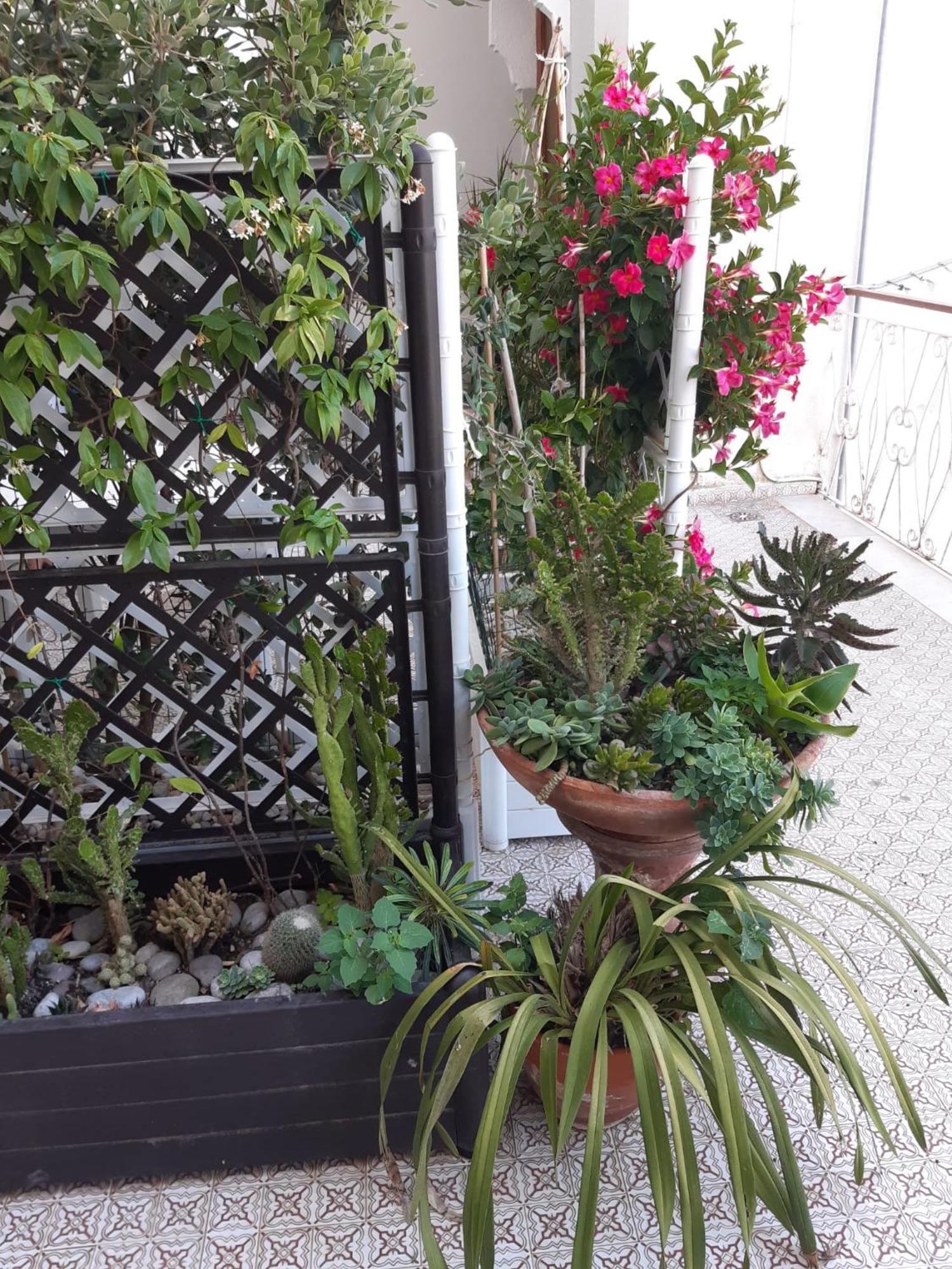 La Casa Di Rosa - Casa Vacanze Meta Eksteriør bilde